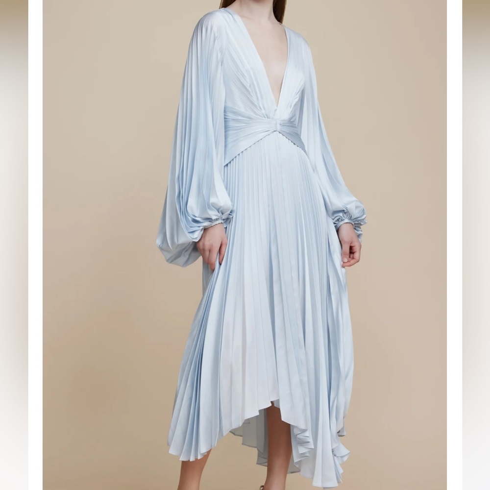 Acler Palms Pleated Dress! Worn Once!